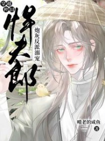 穿越种田:炮灰反派溺宠悍夫郎